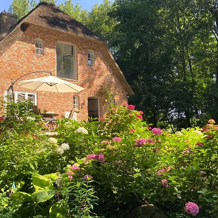 Apartment Reetdachhaus Warft Simmerdeis - Maisonettewohnung *