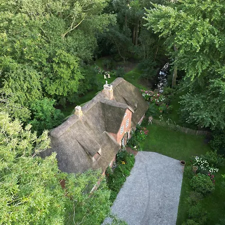 Apartment Reetdachhaus Warft Simmerdeis - Maisonettewohnung Oldenswort